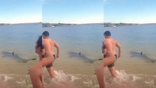 ზვიგენს"ფოტო-ვიდეო სესია" აქვს :)